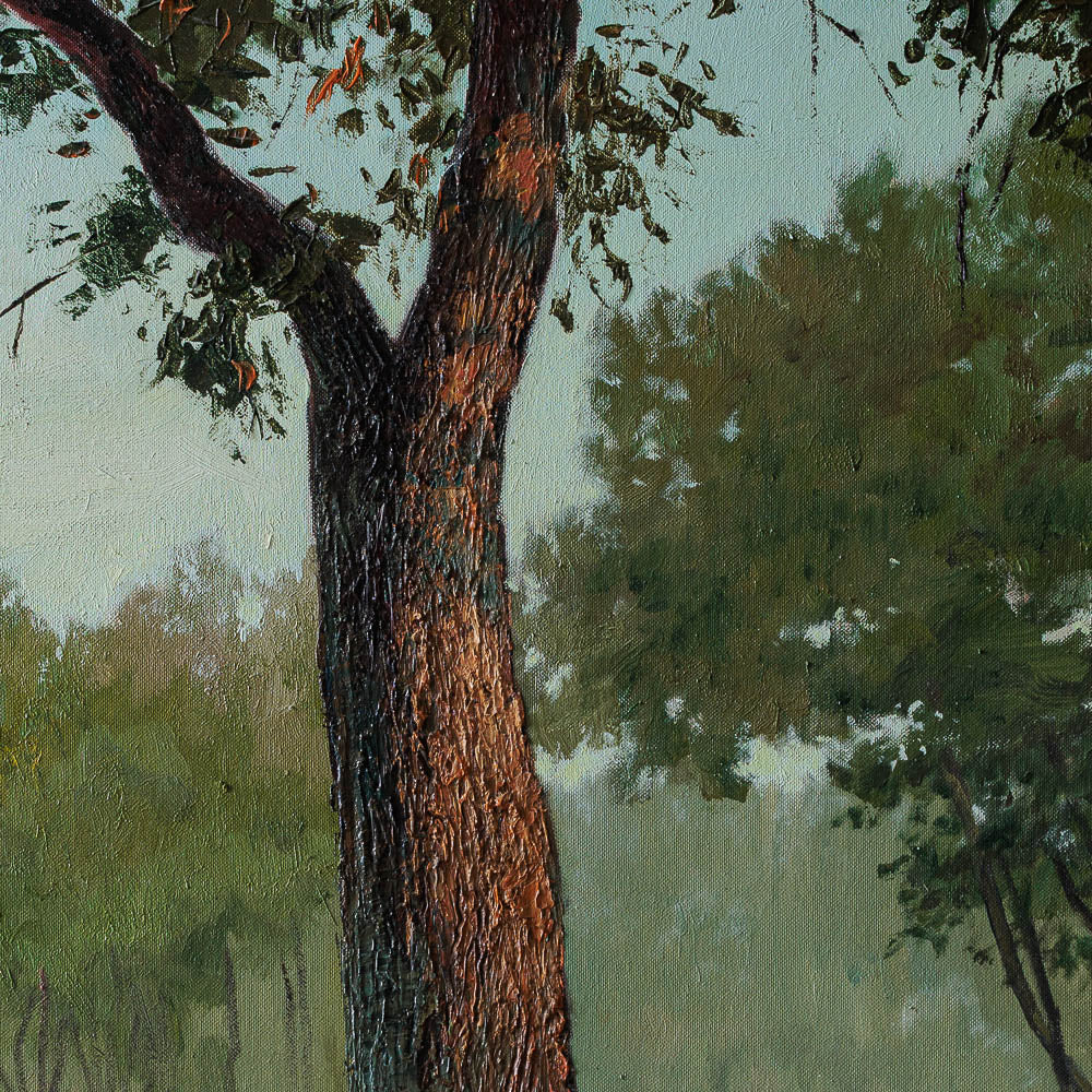 Нежно докосване