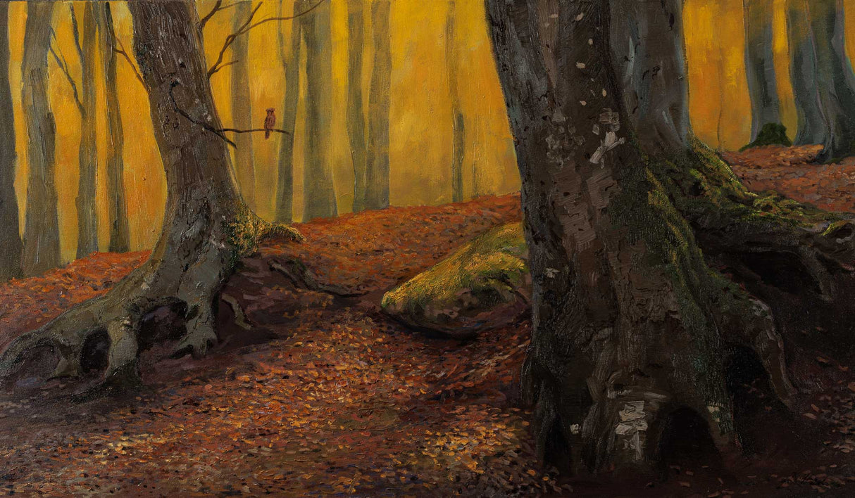 Стари букове