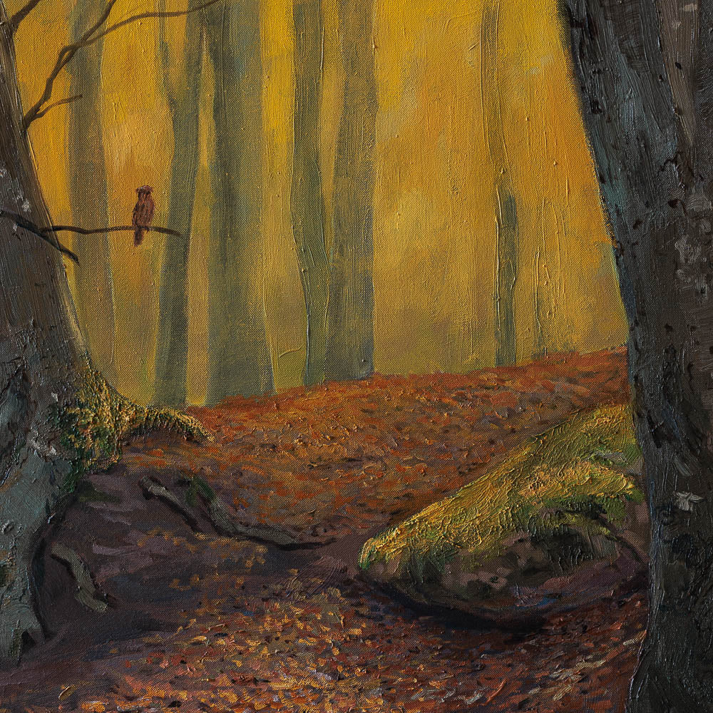 Стари букове