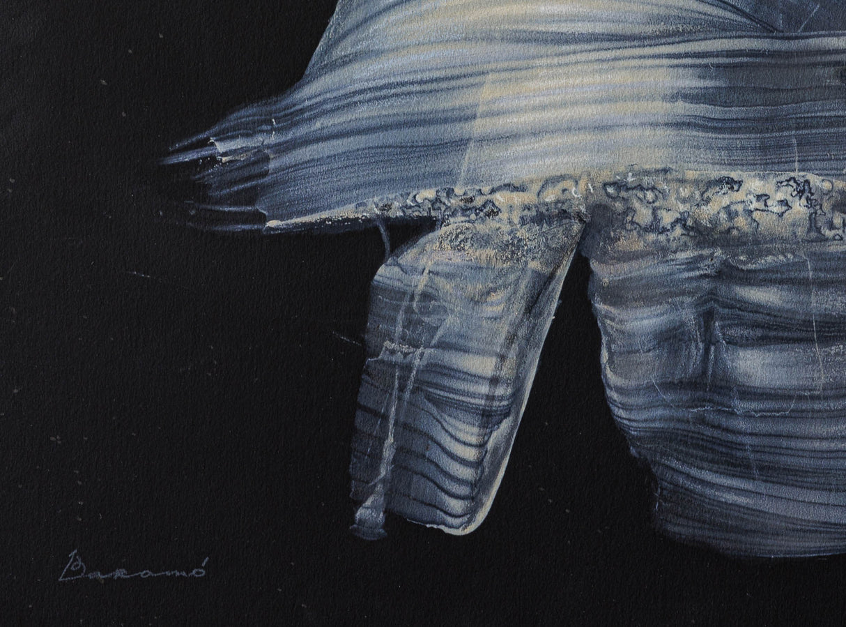 Хронотопос N. (живия череп)