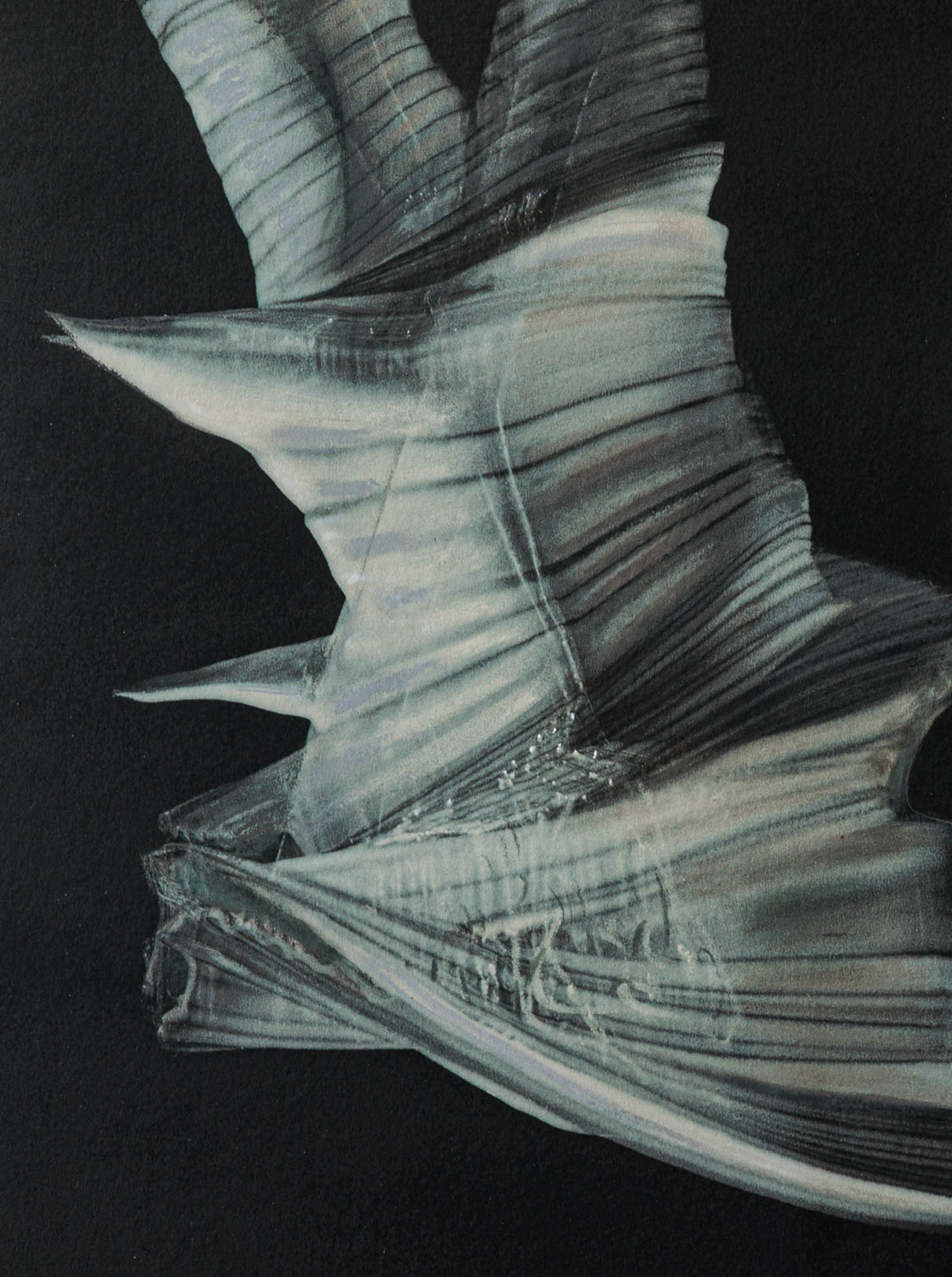 Хронотопос LXX. (тяло в лодка)