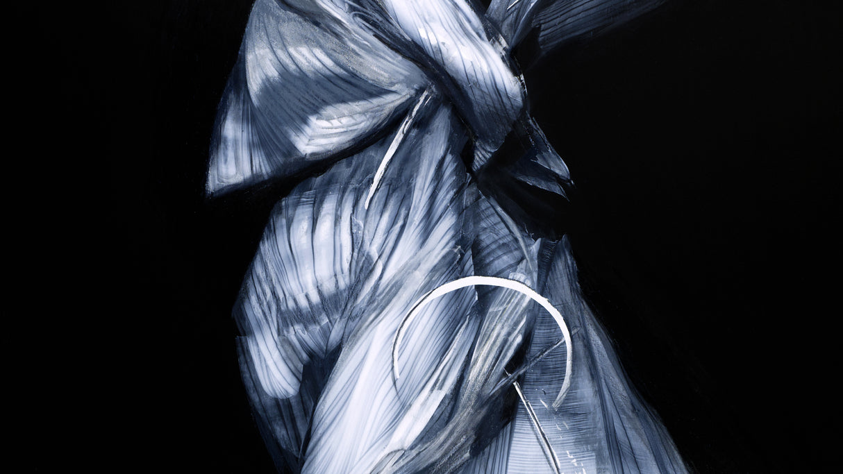 Котешка стъпка