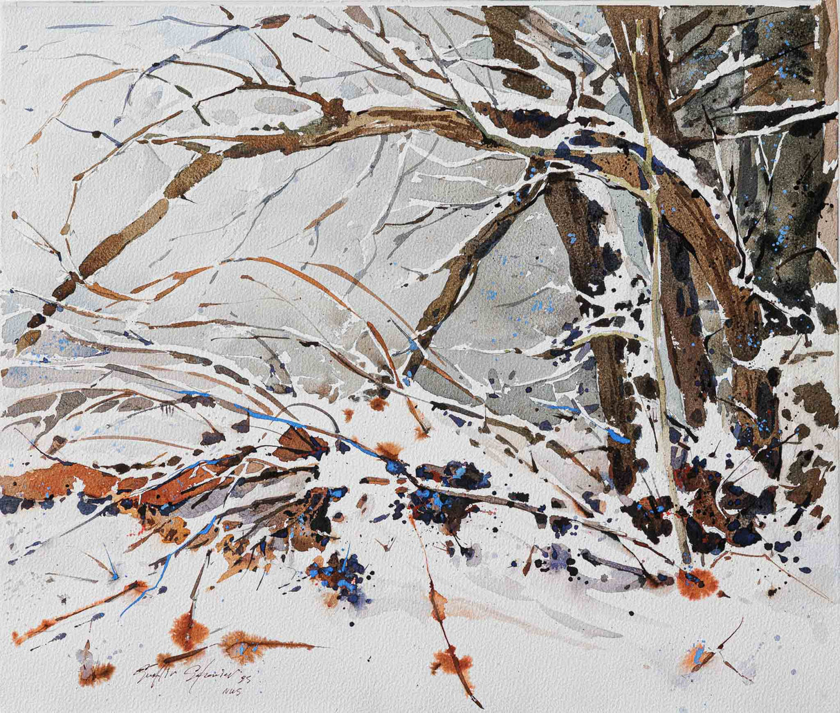 Зимен спомен