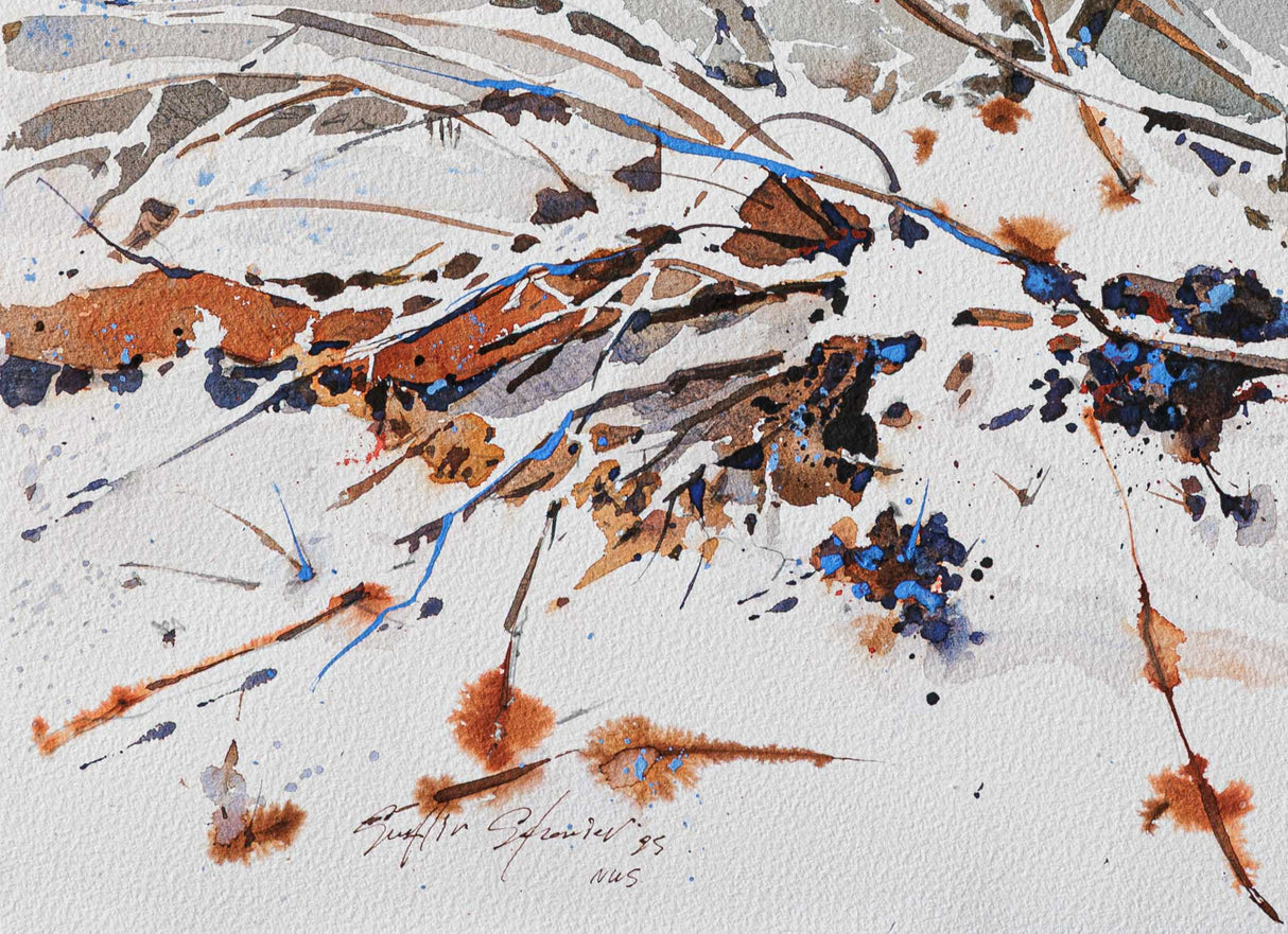 Зимен спомен