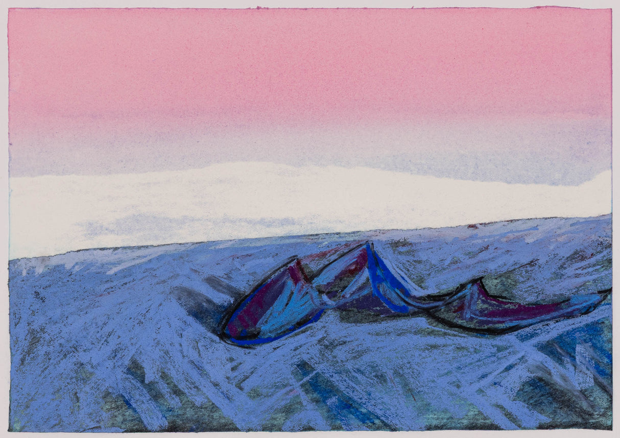 Плаж с кайтове 2