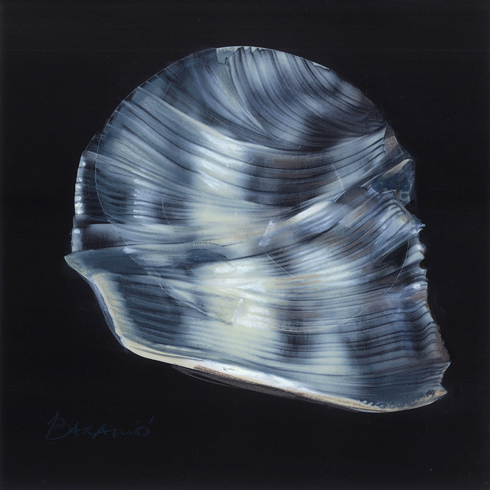 Хронотопос NI. (кристална глава)