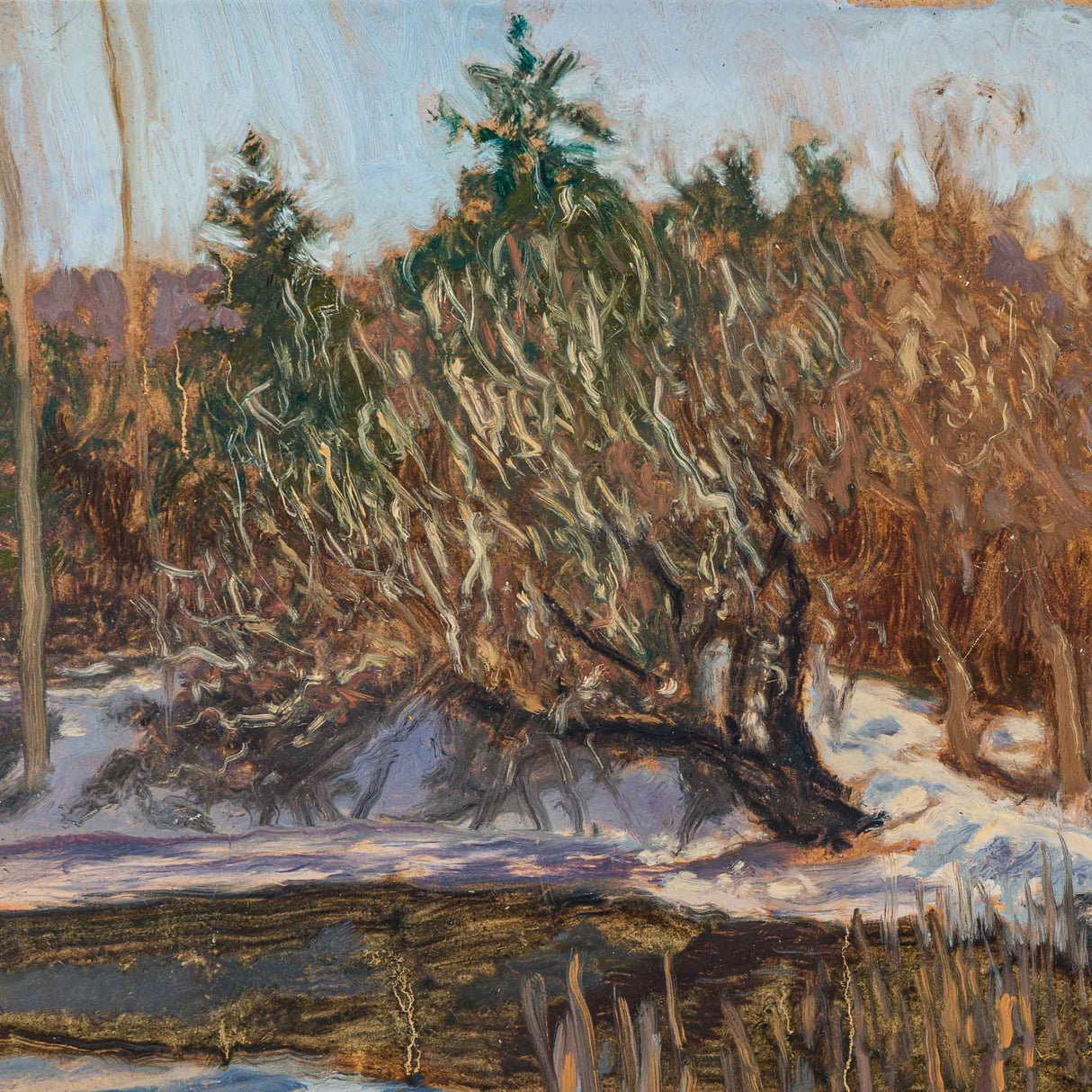 Дендрариум