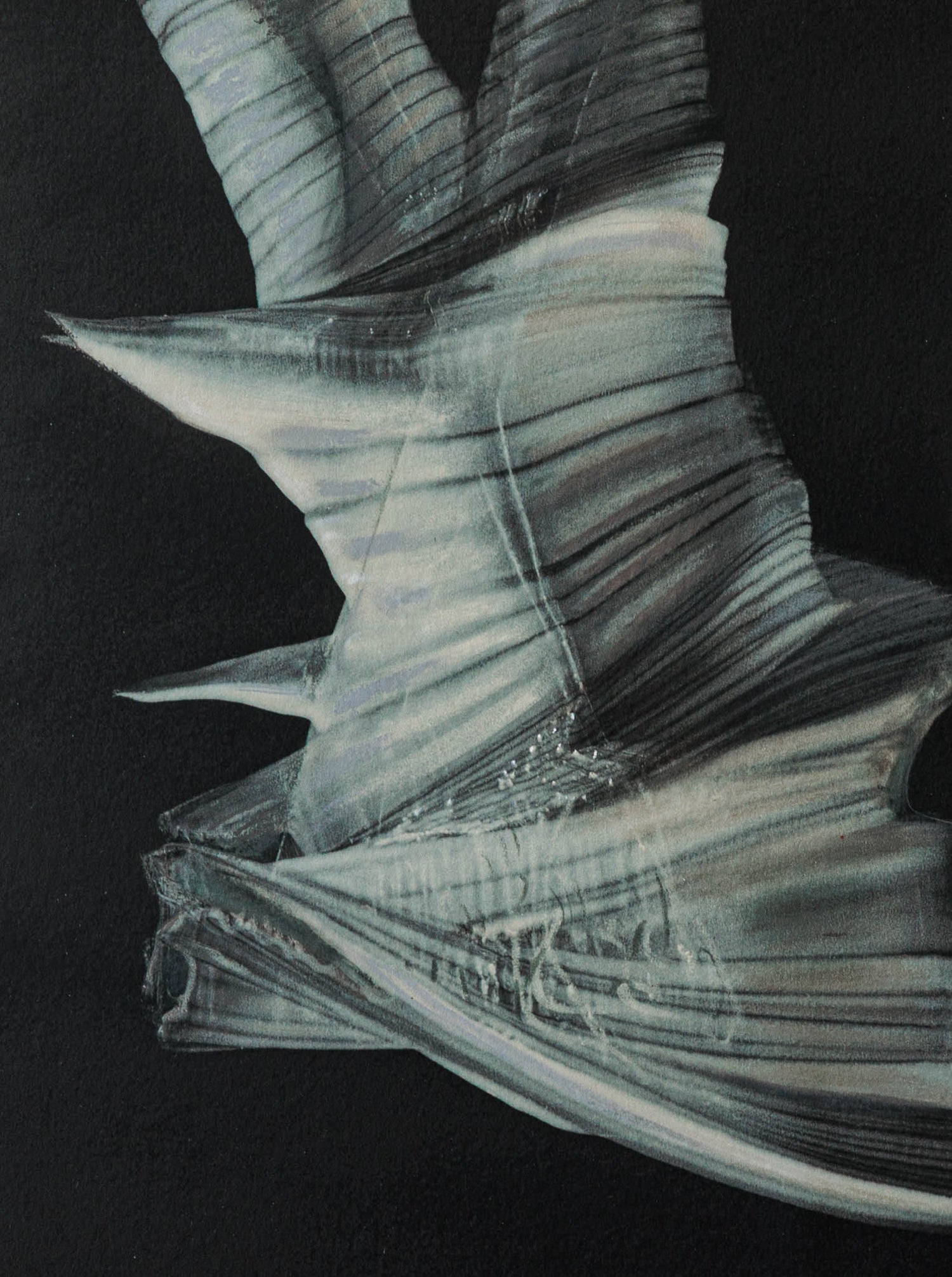 Хронотопос LXX. (тяло в лодка)