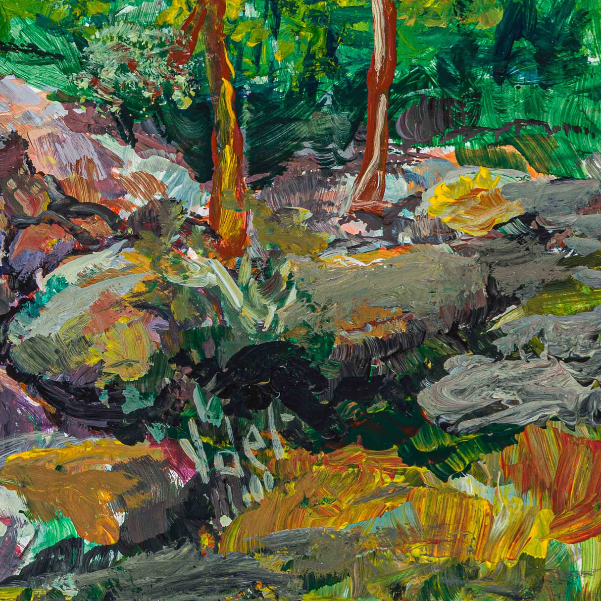 Laurentian Mountains 2