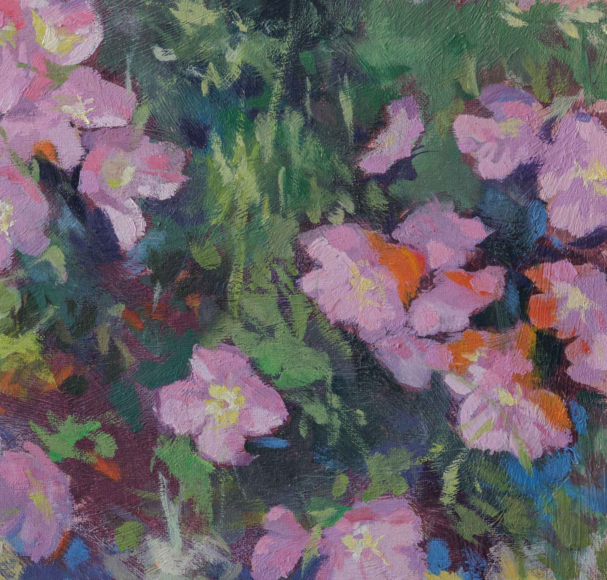 Вечерна иглика