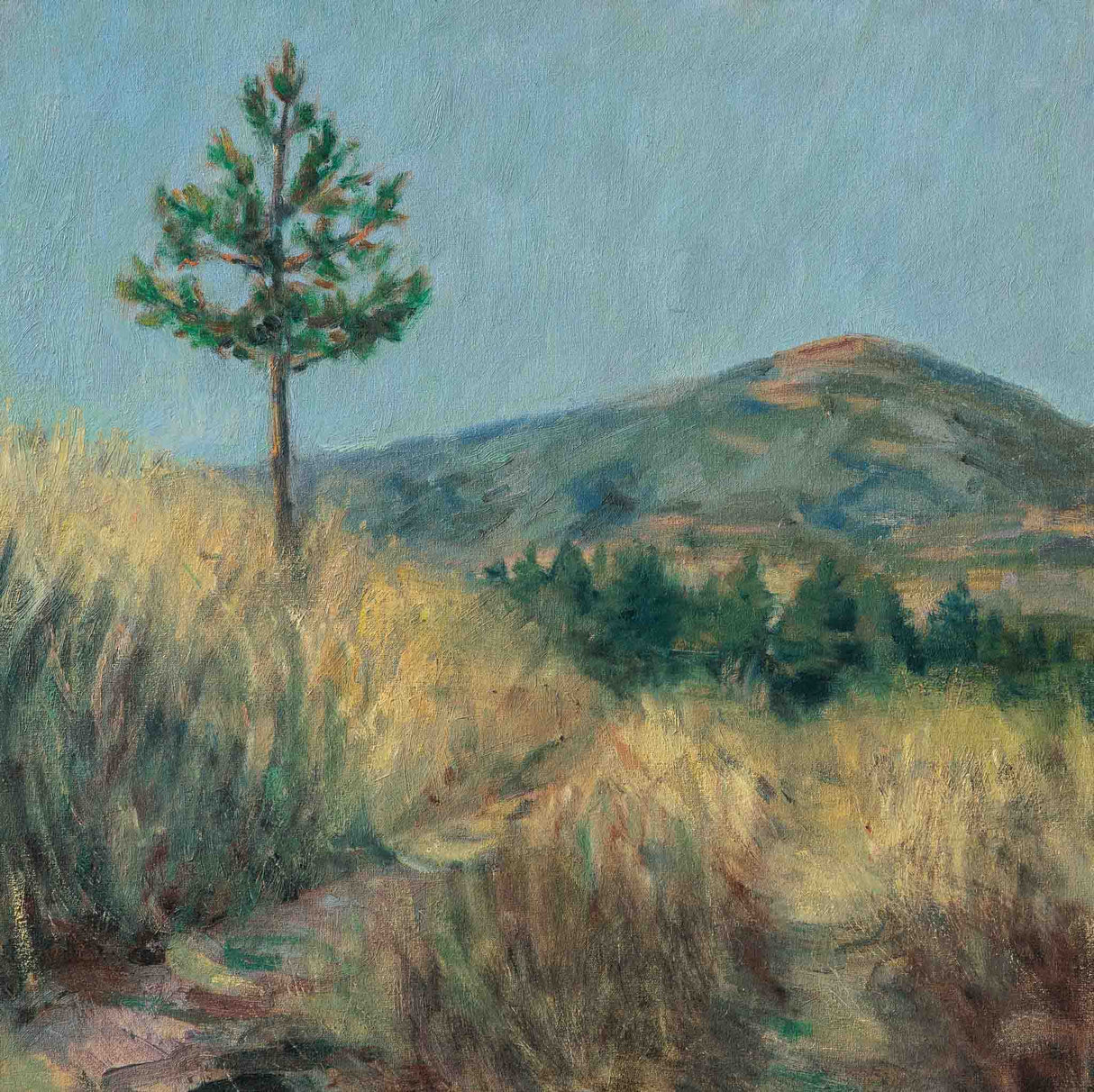 Пейзаж край Камарци