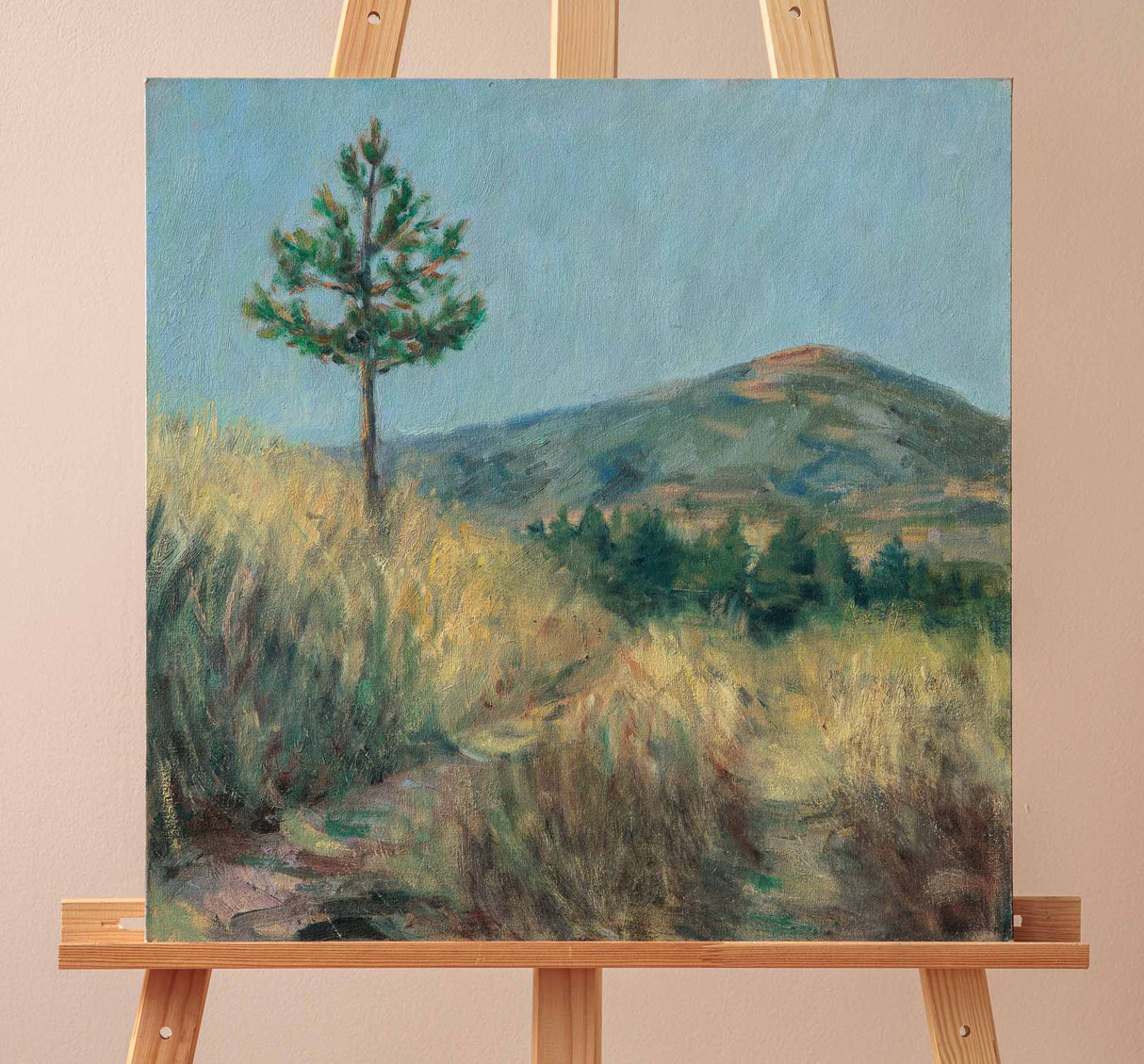 Пейзаж край Камарци