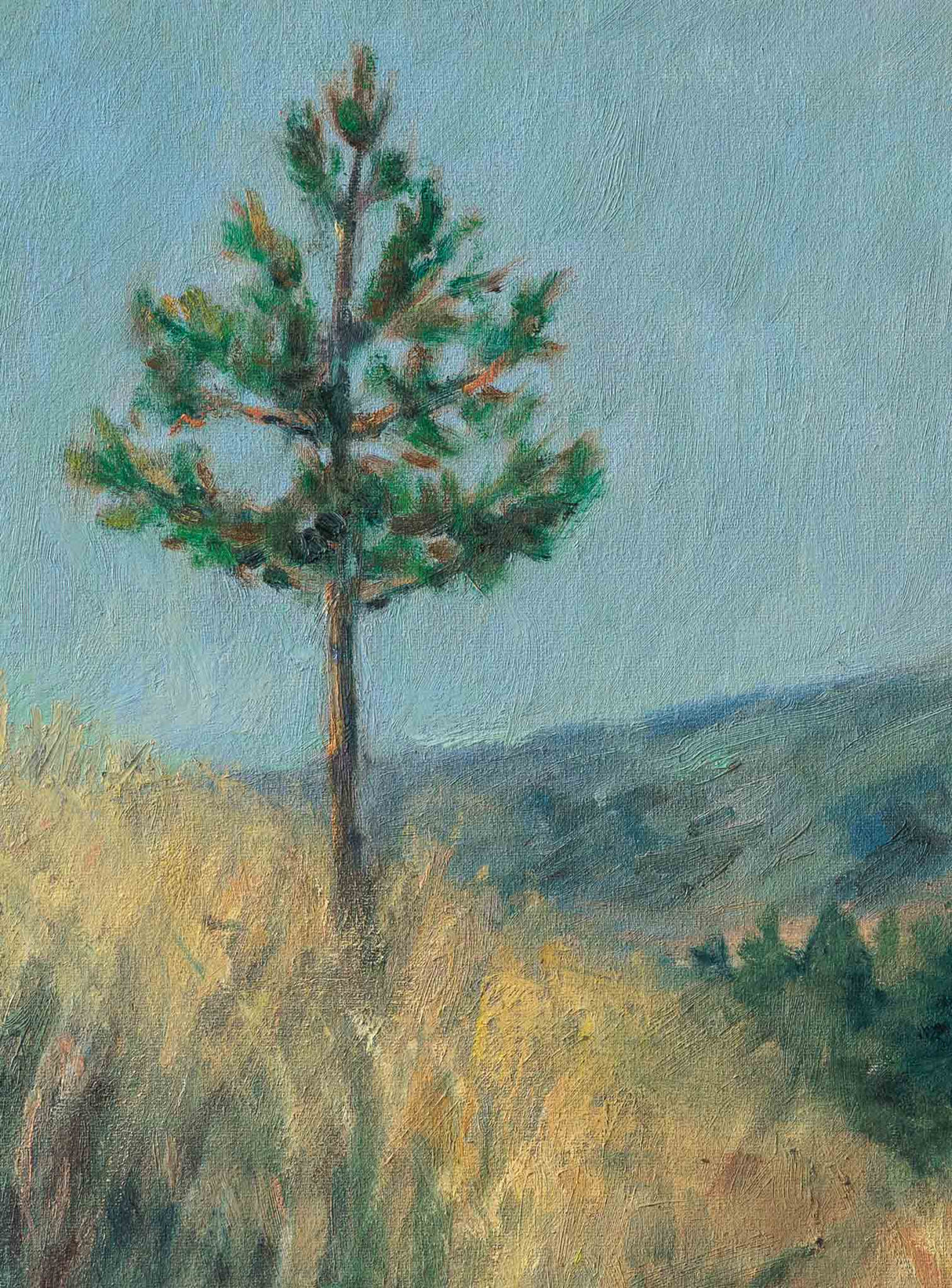 Пейзаж край Камарци