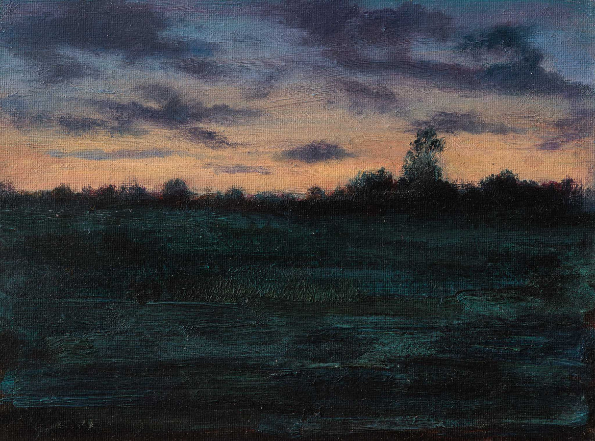 Залез в Софийско