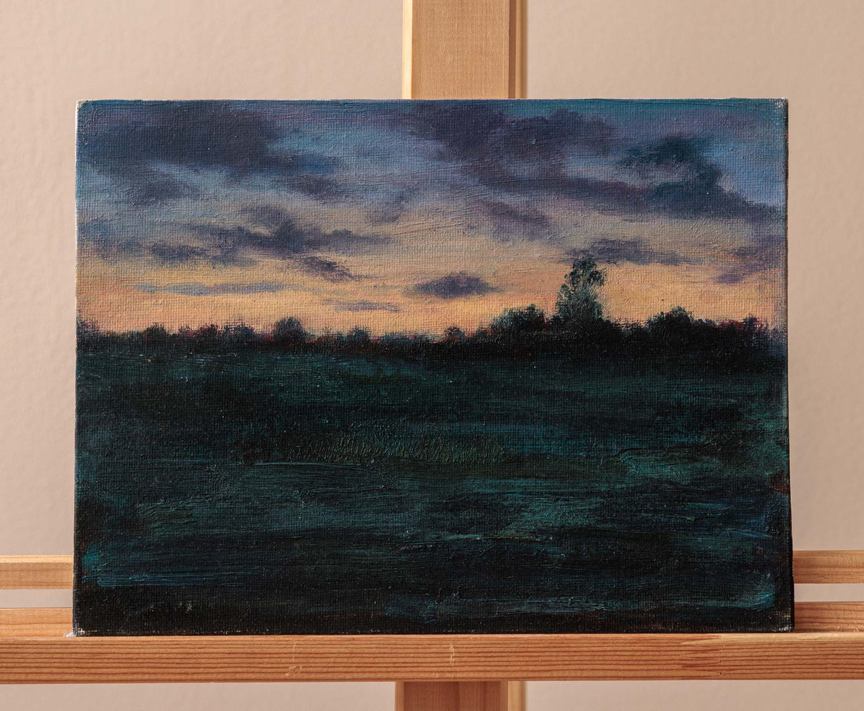 Залез в Софийско