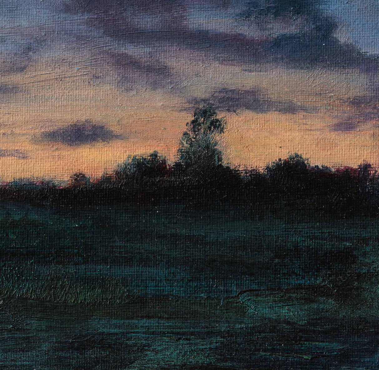 Залез в Софийско