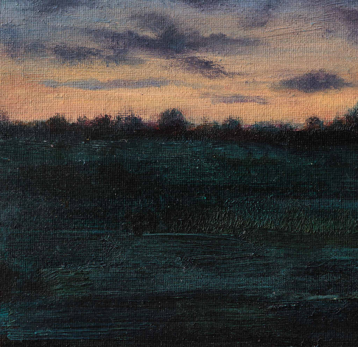 Залез в Софийско