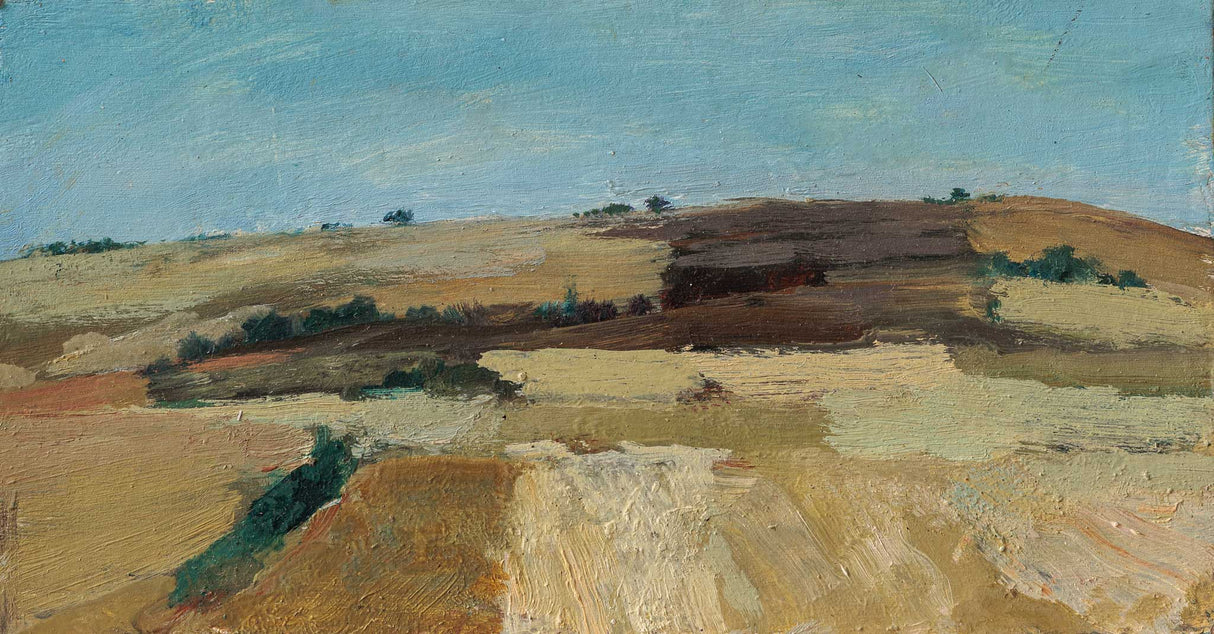 Кумановски ниви