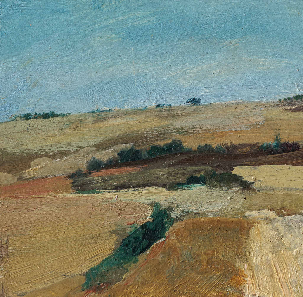 Кумановски ниви