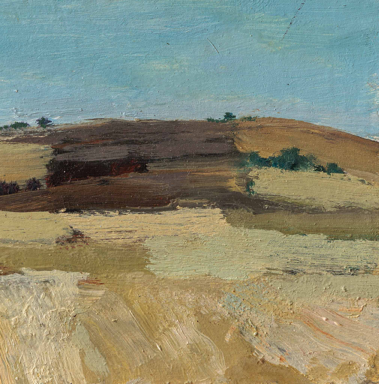 Кумановски ниви