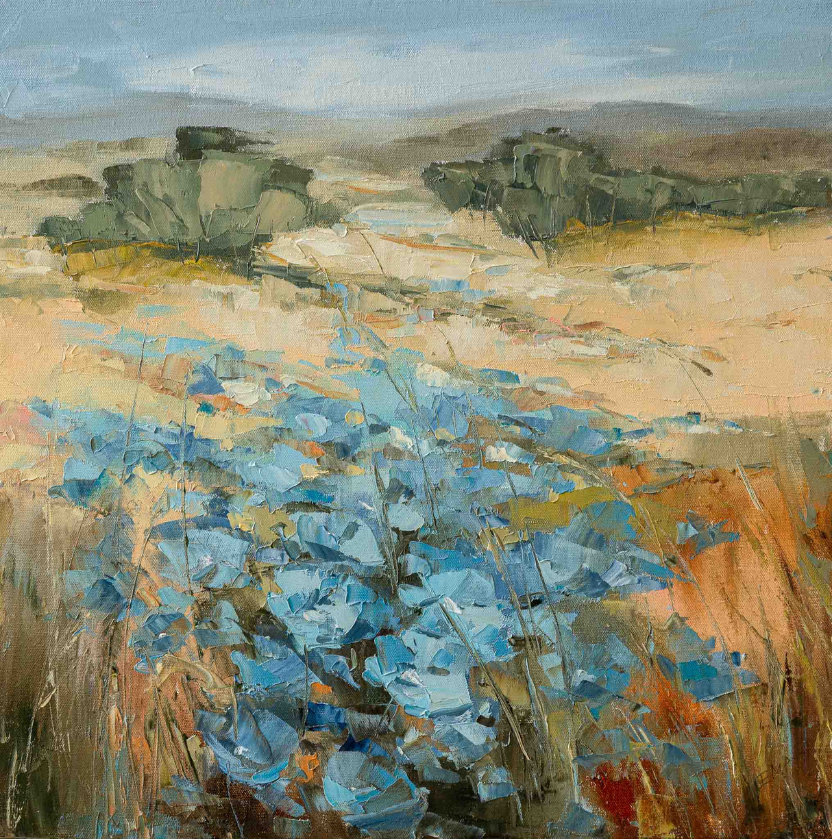 Където се раждат пеперудите