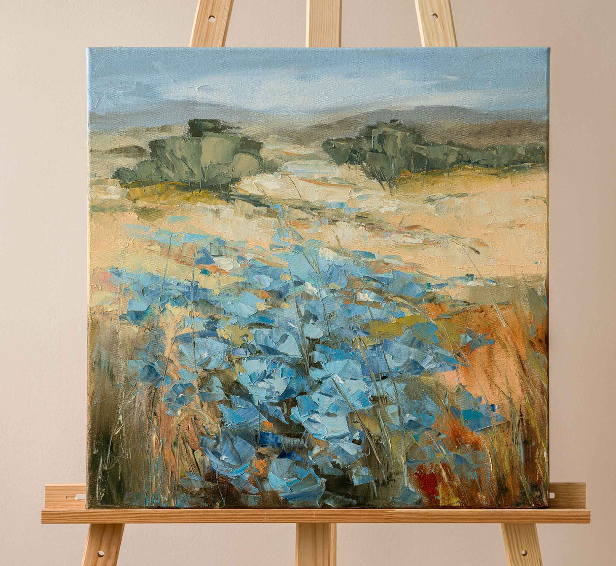 Където се раждат пеперудите